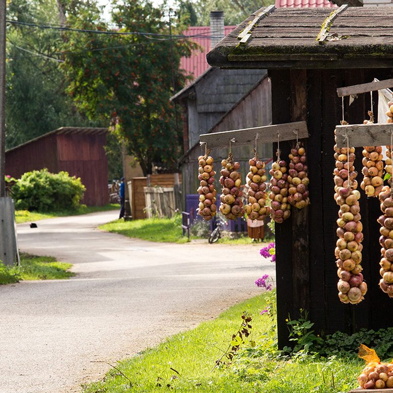 Small road in the village. Onions hanging in the front of picture.
