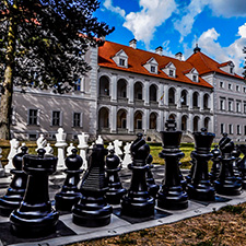 chess pieces in front of the castle